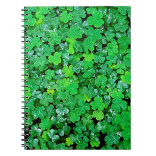Carnet Oxalis de printemps