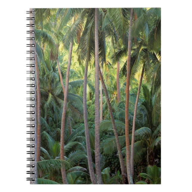 Carnet Pacifique Sud, Polynésie française, Bora Bora. (Devant)