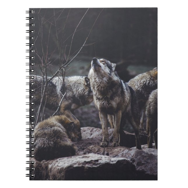 CARNET PACK DE LOUPS EN FORMATION ROCK (Devant)