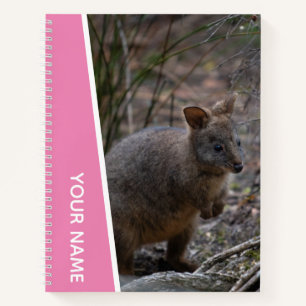 Carnet Pademelon, Australie, Animal Mignon, Rose