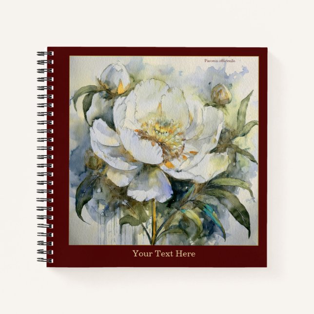 Carnet Paeonia Officinalis Aquarelle #2 (Devant)