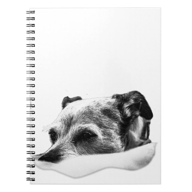 Carnet Pages de douceur (Devant)