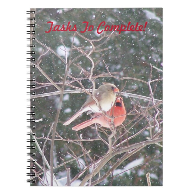 Carnet Paire De Cardinaux (Devant)