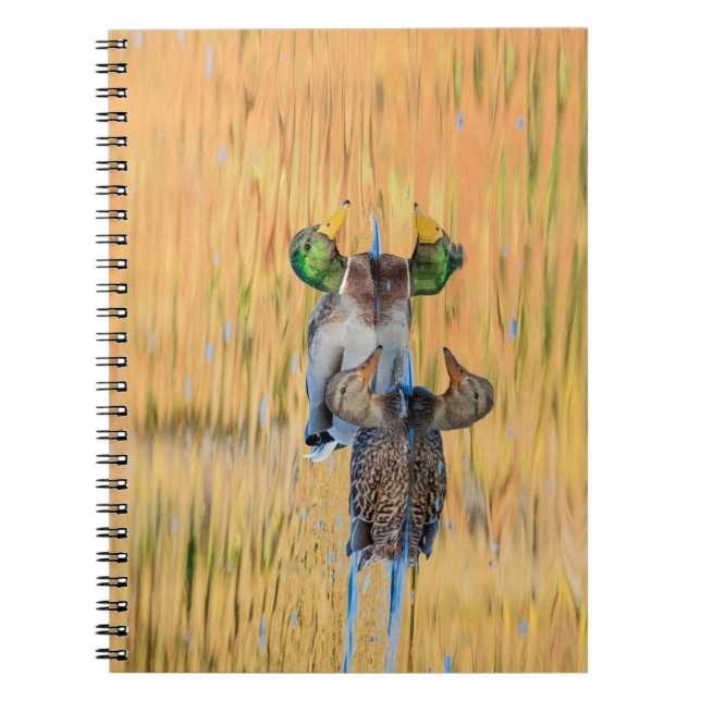 Carnet Paire de Mallards (Devant)