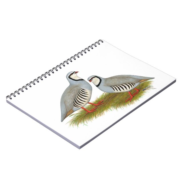 Carnet Paire de perdrix de Chukar (Côté gauche)