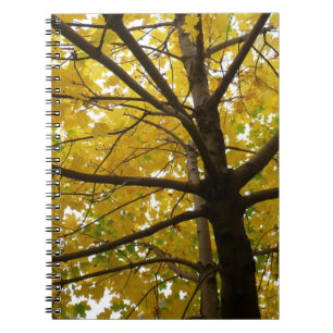 Carnet Paire d'érables jaunes Nature d'automne