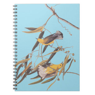 Carnet Paire ornithologique jaune d'Audubon