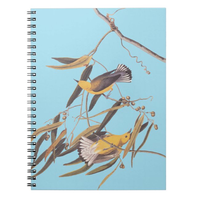 Carnet Paire ornithologique jaune d'Audubon (Devant)