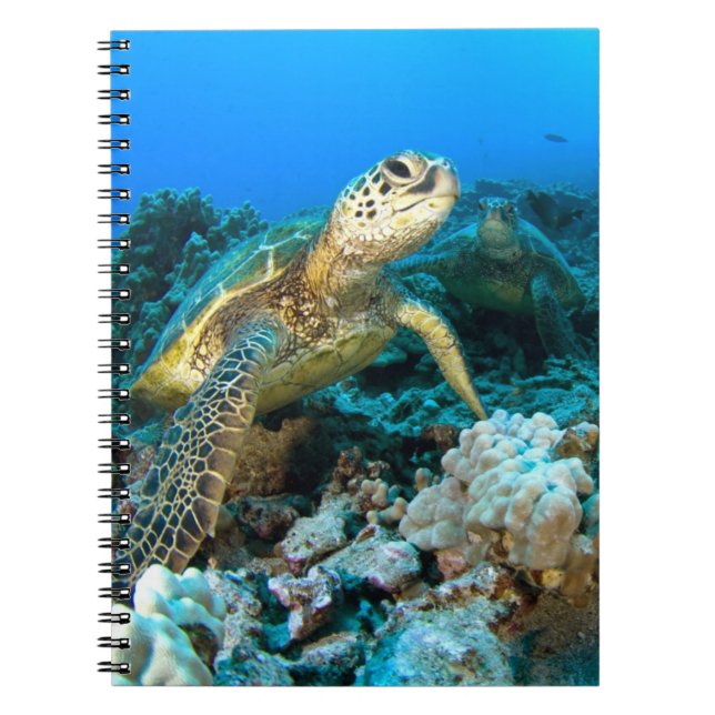 Carnet Paires de tortue (Devant)
