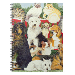 Carnet Paix de Noël