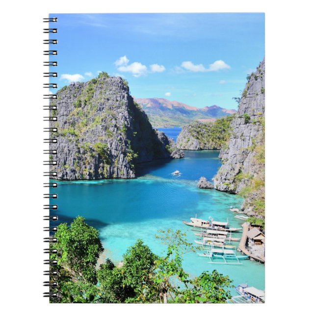 Carnet Palawan Lagoon, Philippines (Devant)