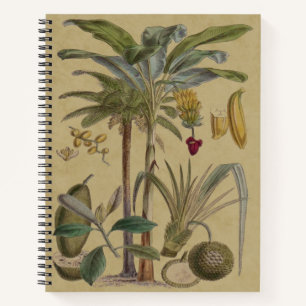 Carnet Palm Antique Fruit Tropical Art Botanique