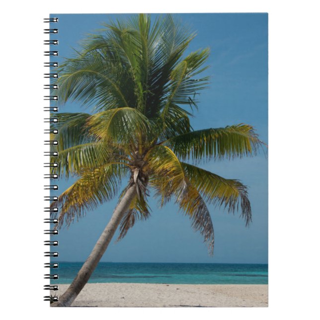 Carnet Palmier et plage de sable blanc  2 (Devant)
