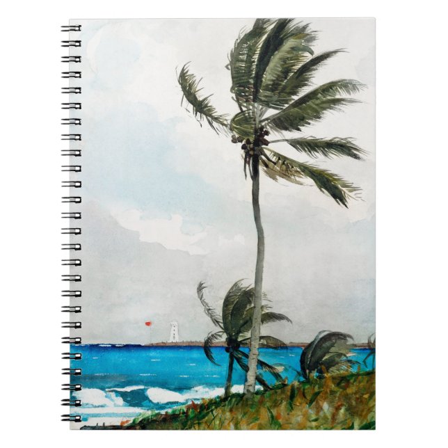 Carnet Palmier, Nassau (1898) par Winslow Homer (Devant)