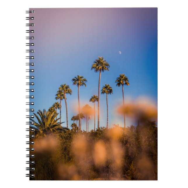 Carnet Palmier sous ciel bleu (Devant)
