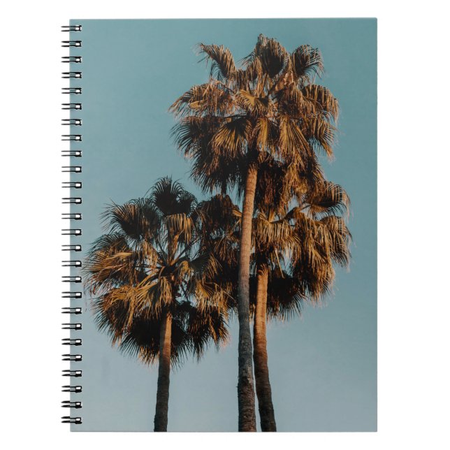 Carnet Palmiers (Devant)