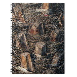 Carnet Palmiers