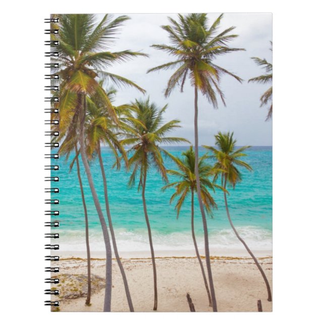 Carnet Palmiers de la plage (Devant)