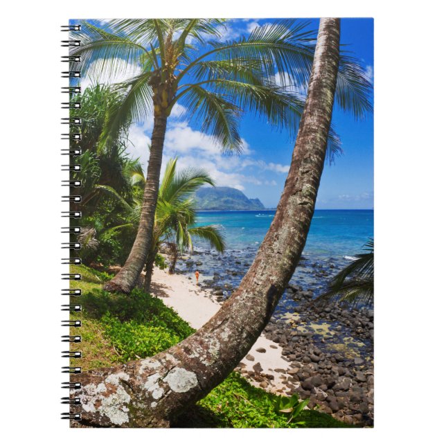 Carnet Palmiers le long de Hideaways Beach (Devant)