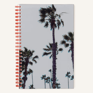 Carnet Palmiers océaniques