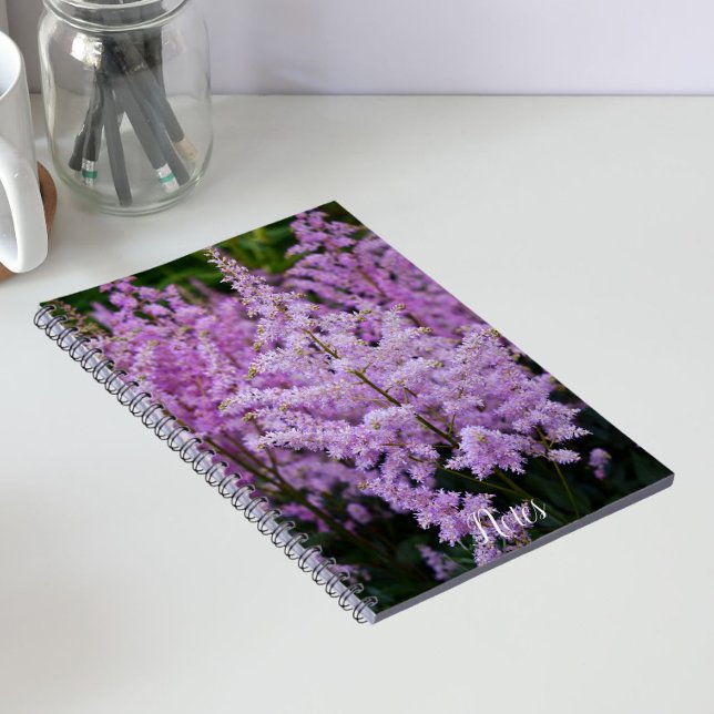 Carnet Panaches Floraux Rose Foncé d'Astilbe Féminins (In Situ)