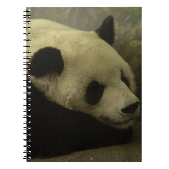 Carnet Panda (Devant)