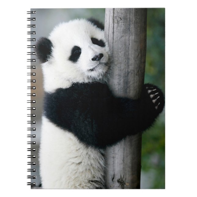 Carnet Panda étreignant le courrier (Devant)