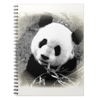 Carnet Panda Eyes