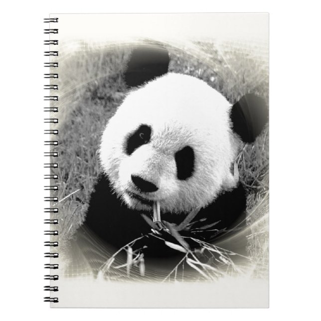 Carnet Panda Eyes (Devant)