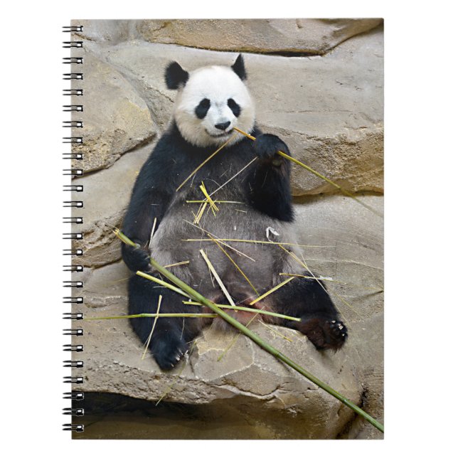 Carnet Panda géant mangeant du bambou (Devant)