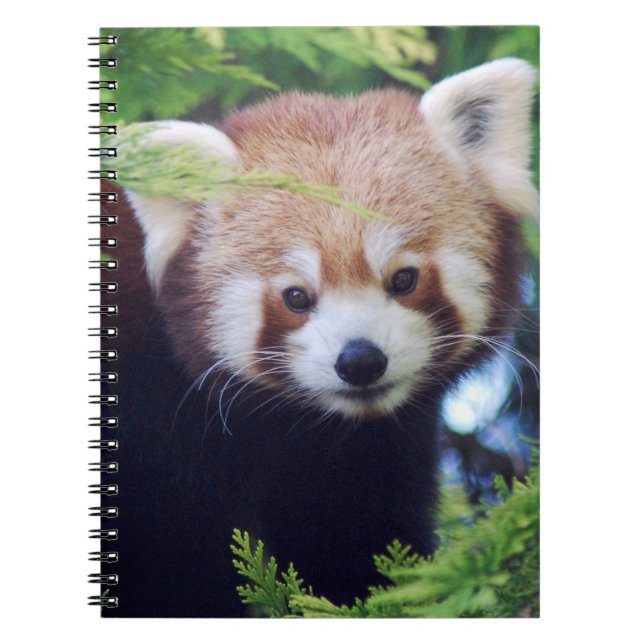 Carnet Panda rouge (Devant)
