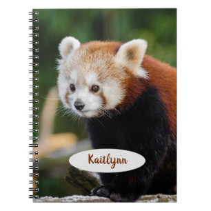 Carnet Panda rouge personnalisé