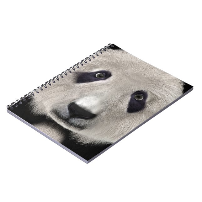 Carnet Panda roux (Côté gauche)