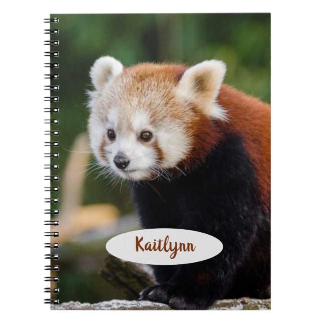 Carnet Panda roux personnalisé (Devant)