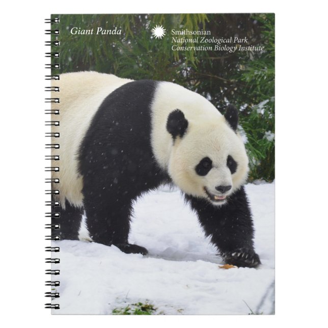 Carnet Pandas géants de Smithsonien | dans la neige (Devant)