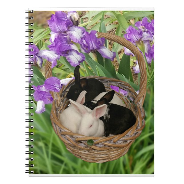 Carnet Panier adorable de bébés lapins (Devant)