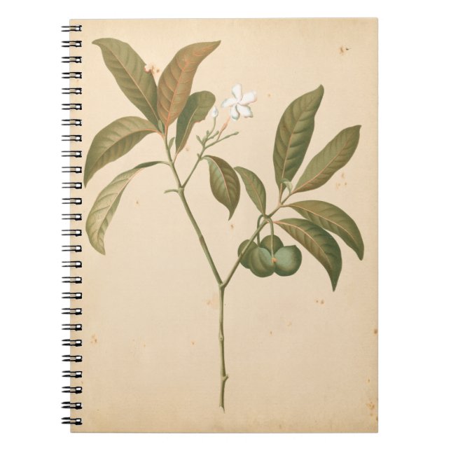 Carnet Panneau Décor Cobalt I (Devant)