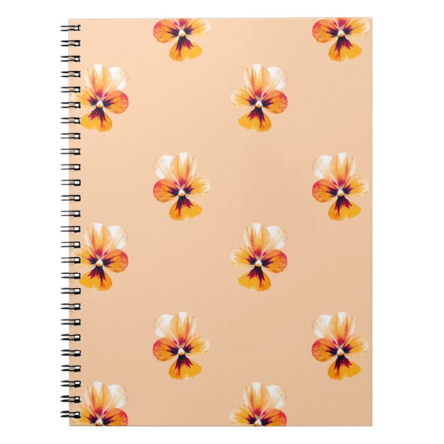 Carnet panneaux orange (Devant)