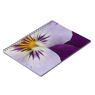 Carnet Pansement blanc pourpre