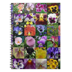 Carnet Pansies de Pansy