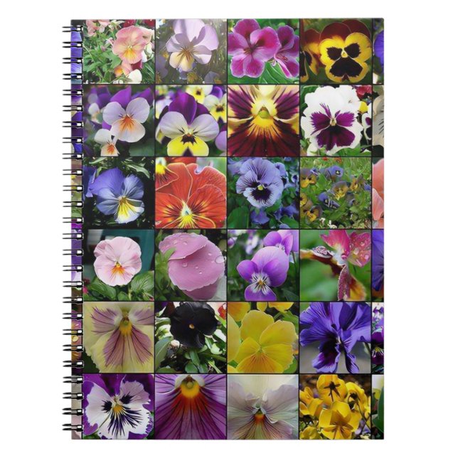 Carnet Pansies de Pansy (Devant)