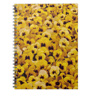 Carnet Pansies jaunes