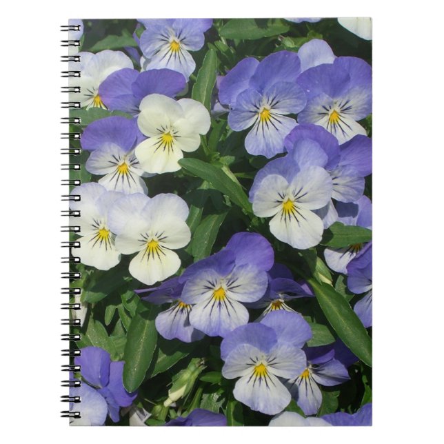 Carnet Pansies violettes Jardin Floral (Devant)