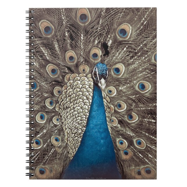 Carnet Paon Bleu Antique (Devant)