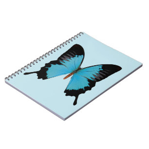 Carnet Paon Royal