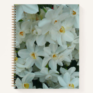Carnet Paperwhite Narcissus Fleurs blanches délicates