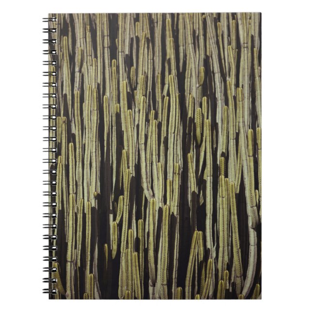 Carnet Papier peint cactus vert (Devant)