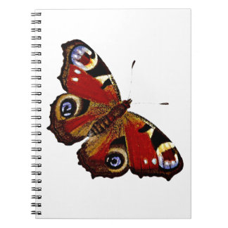 Carnet Papillon