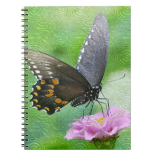 Carnet papillon