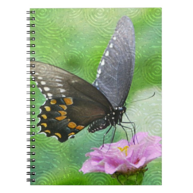 Carnet papillon (Devant)